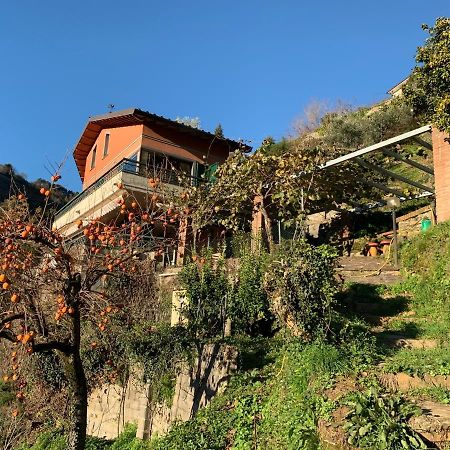 Villa Vigna Montignoso Exterior photo