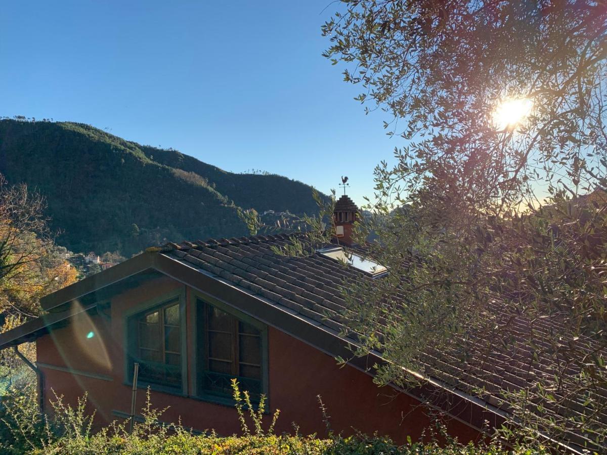 Villa Vigna Montignoso Exterior photo