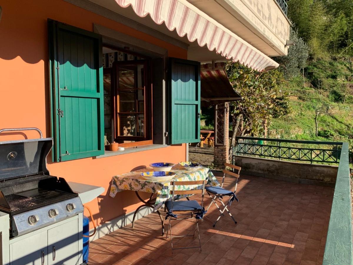 Villa Vigna Montignoso Exterior photo