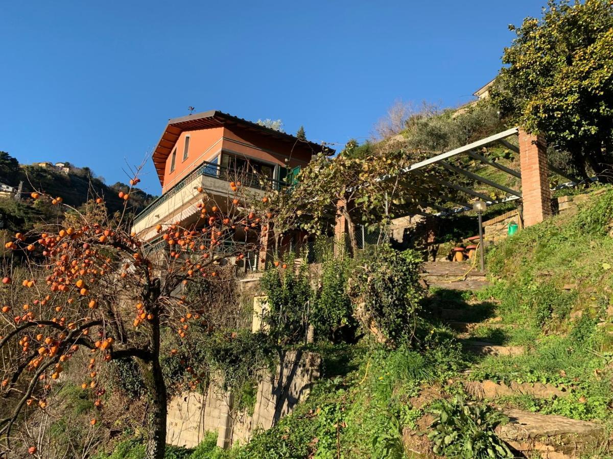 Villa Vigna Montignoso Exterior photo