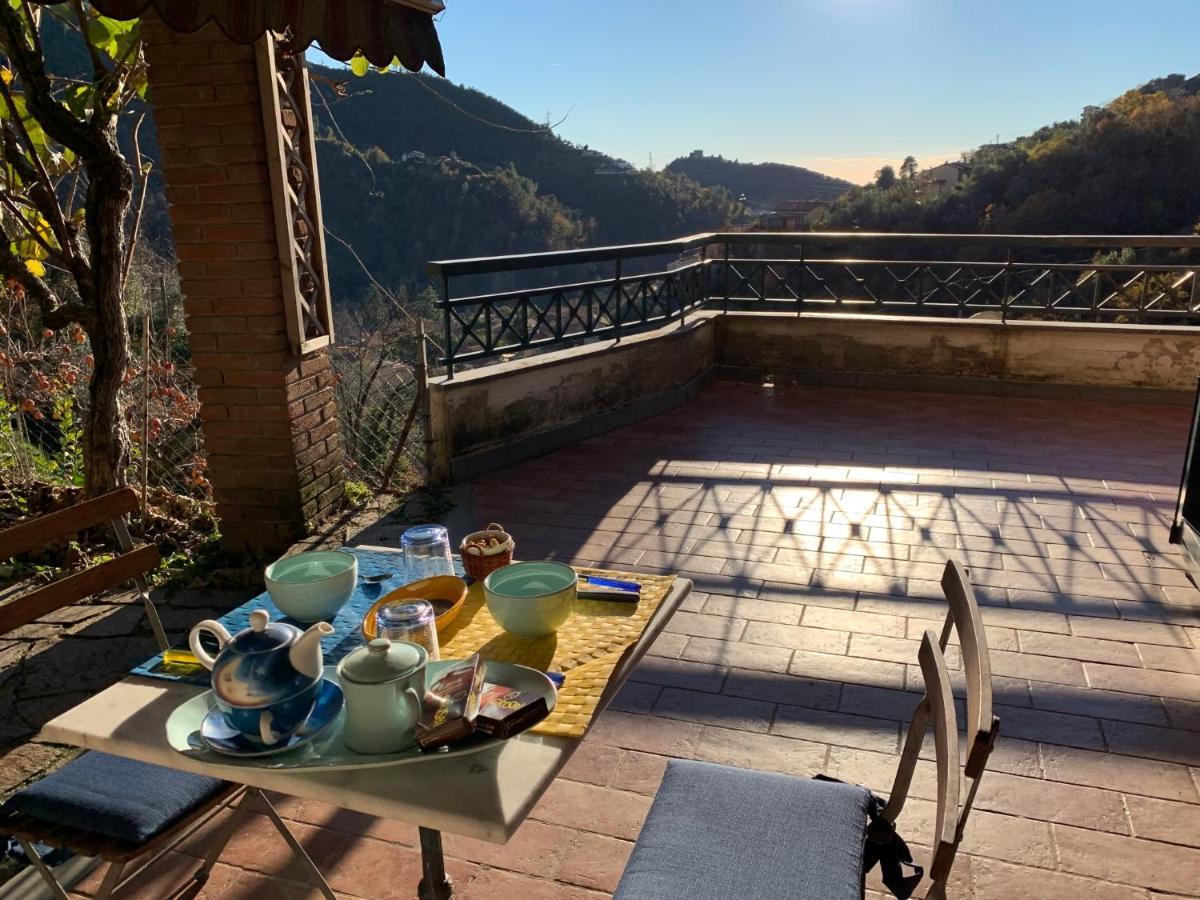 Villa Vigna Montignoso Exterior photo