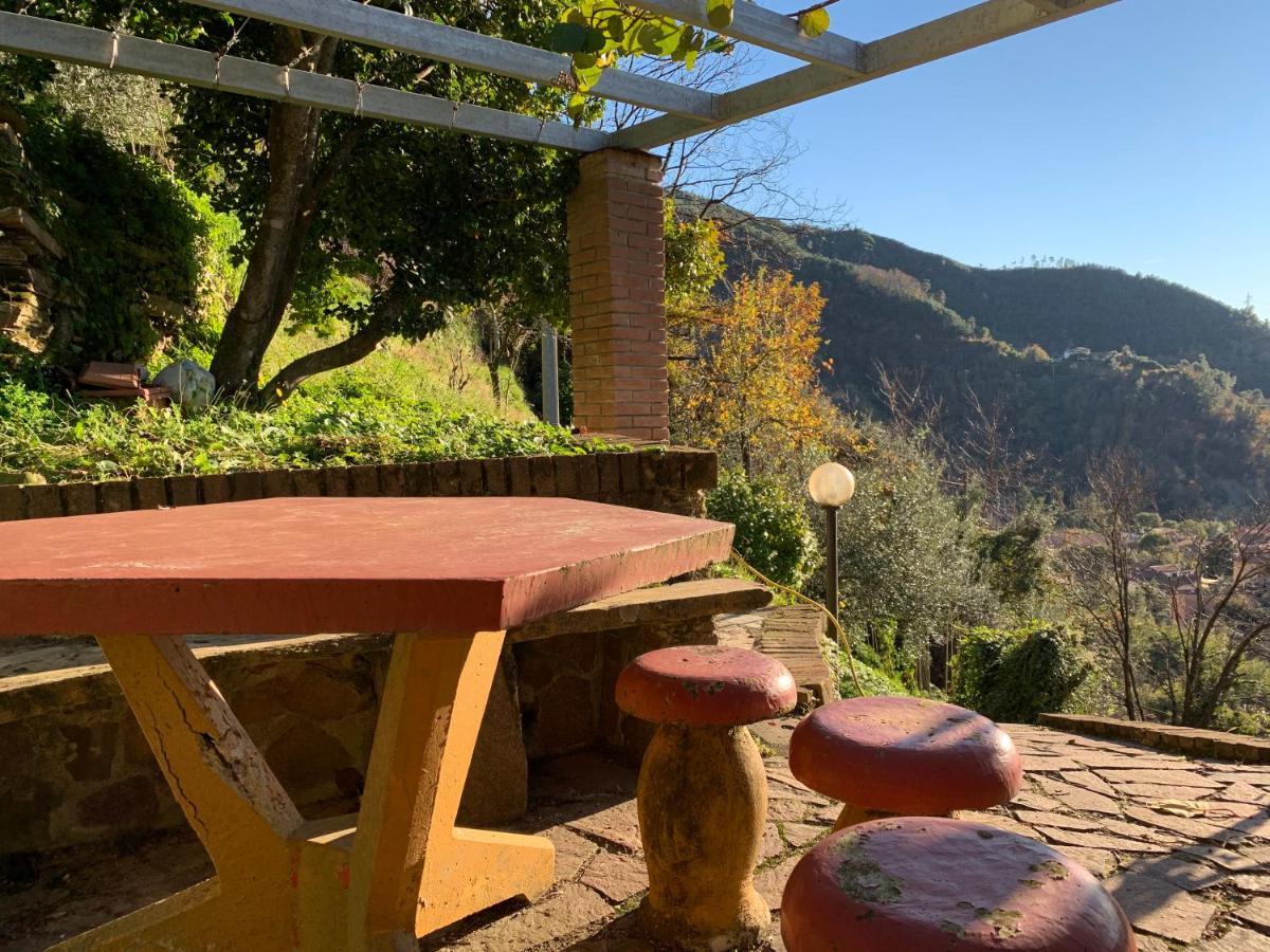 Villa Vigna Montignoso Exterior photo
